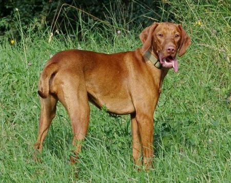 Image of Uma Aylen Gurdau