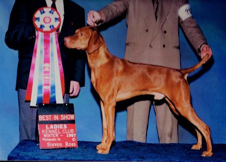 Image of Jaybren's Kivalo Nivos