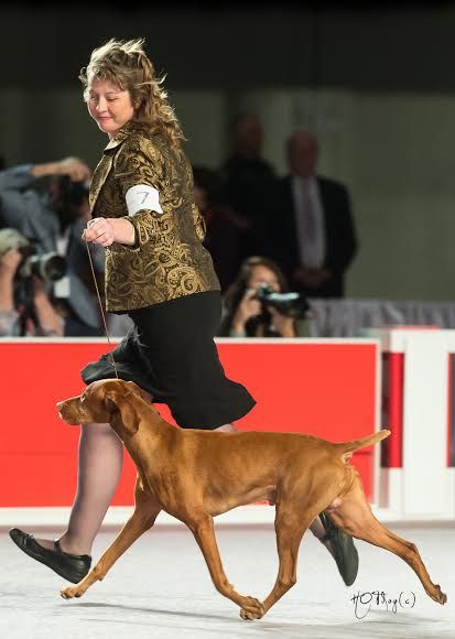 Image of Dezertfyre's Captain's First Mate