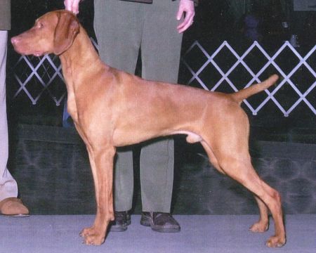 Image of Kizmar Airborne