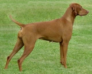 Image of Kizmar Working For Th'weekend