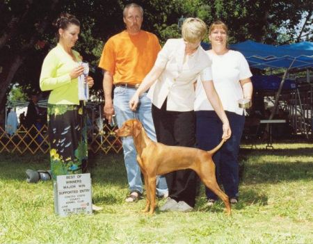 Image of Chips Little Miss Hidee