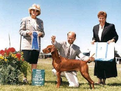 Image of Voros Vadasz Cyrus Barat