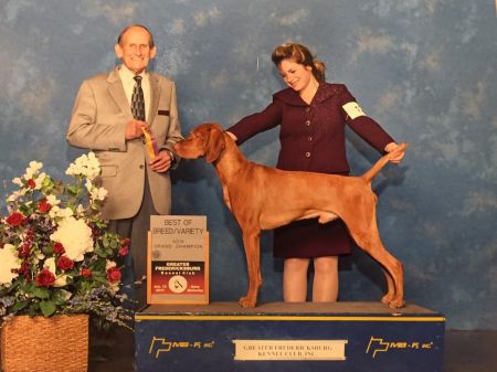 Image of Rhapsody In Hot Pursuit