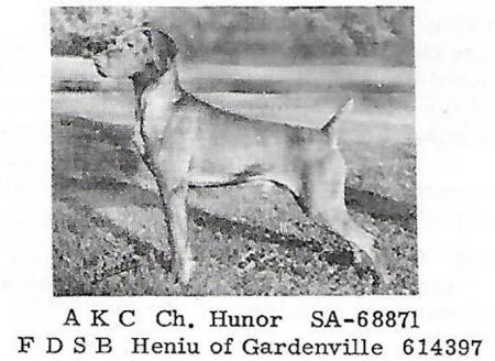 Image of Hunor / Heniu of Gardenville