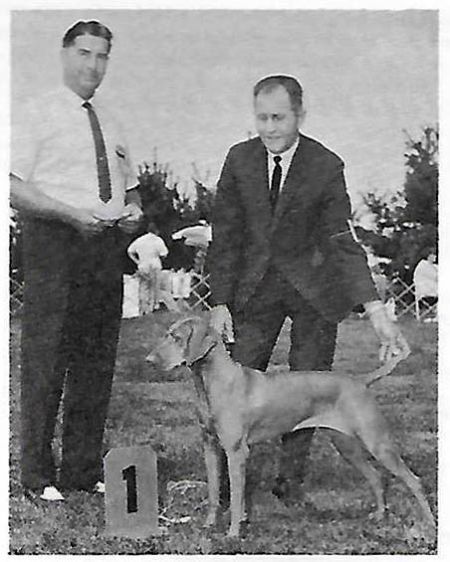 Image of Csinos v Hunt