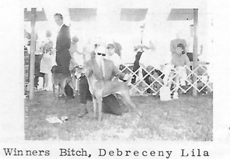 Image of Debreceny Lila