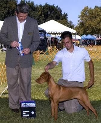 Image of Russet Leather's Autumn Sun