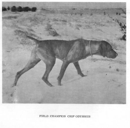 Image of Chip Odysseus