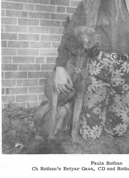 Image of Rothan's Betyar Gaza