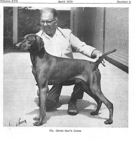 Image of Great Gun's Joska