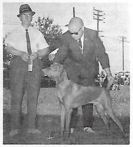 Image of Batu Khan The Tartar