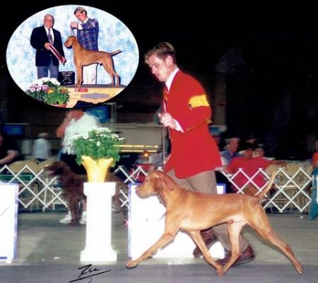 Image of Rosewood's Sweet Revenge