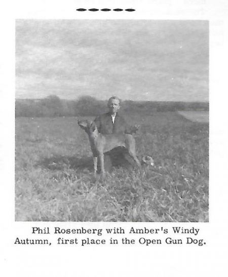 Image of Amber's Windy Autumn