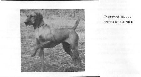 Image of Futaki Lenke