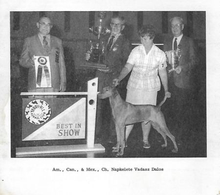 Image of Napkeltei Vadasz Dalos