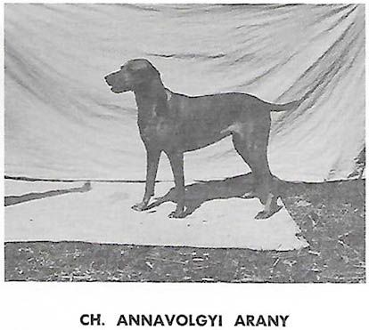 Image of Annavölgyi Arany
