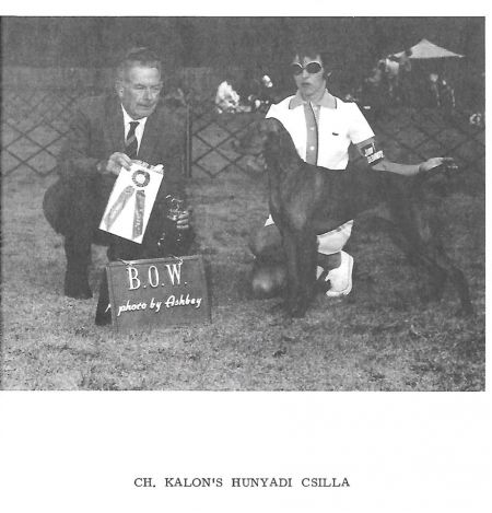 Image of Kalon's Hunyadi Csilla