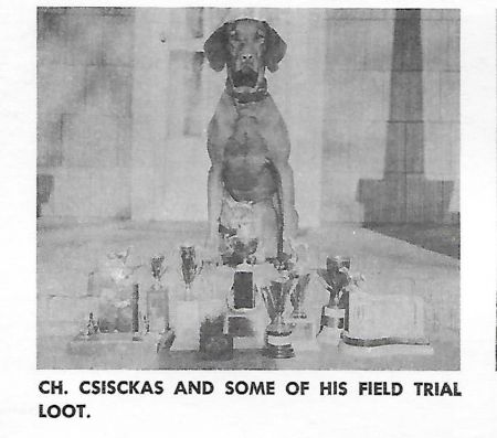 Image of Csicskas of Goncoltanya