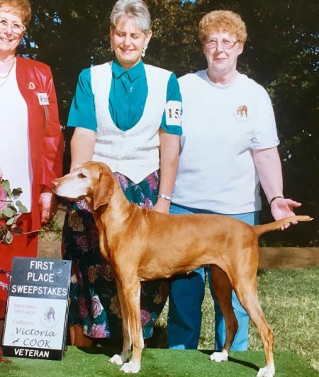 Image of Vizsta's Jessibelle Jet