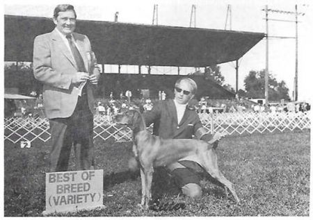 Image of Amber's Windy Autumn