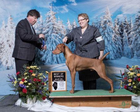 Image of Kizmar Benchmark Livin' On The Dark Side