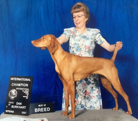 Image of Diamond C's Isabella Boo