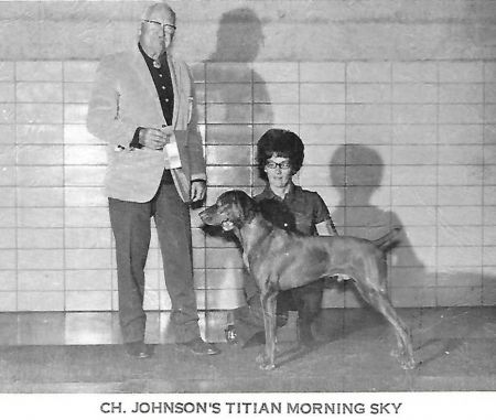 Image of Johnsons Titian Morning Sky