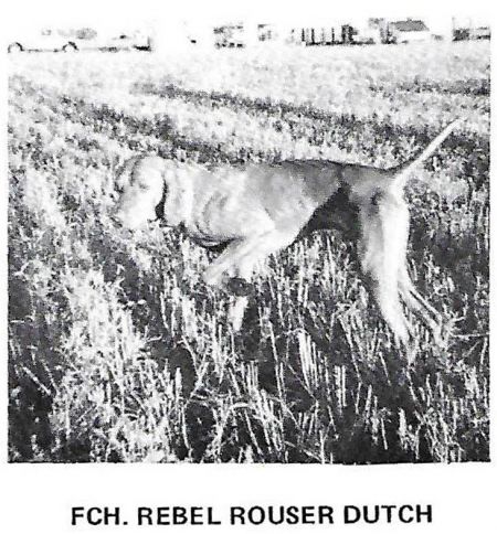 Image of Rebel Rouser Dutch