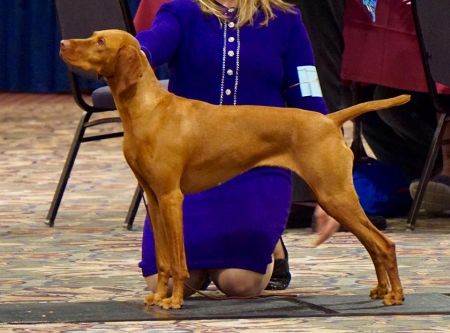 Image of Firelight's Start A Revolution