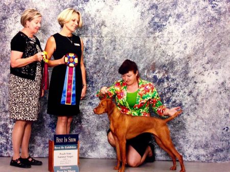 Image of Firelight's Start A Revolution