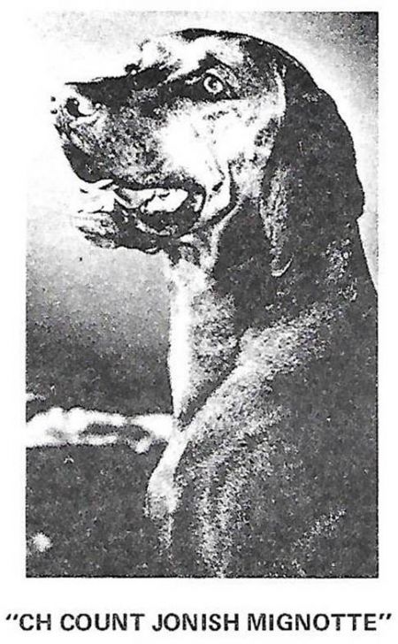 Image of Count Jonish Mignotte