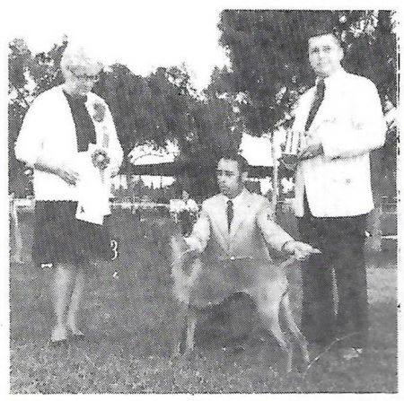 Image of Carob's Sam'mena