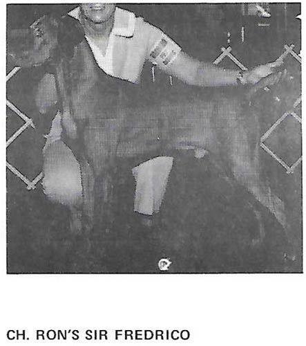 Image of Ron's Sir Fredrico