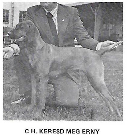 Image of Keresd Meg Erny