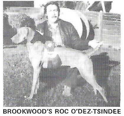 Image of Brookwood's Roc O'Dez-Tsindee