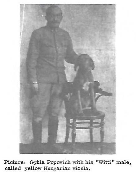 Image of Witti