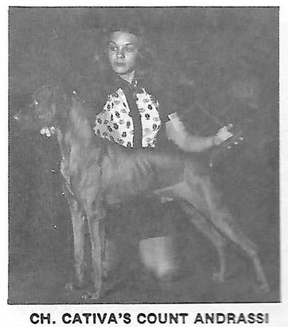 Image of Cativa's Count Andrassi