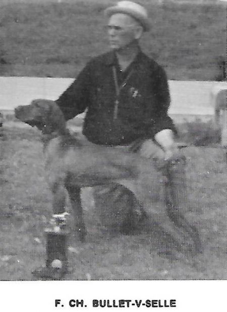 Image of Bullet v Selle