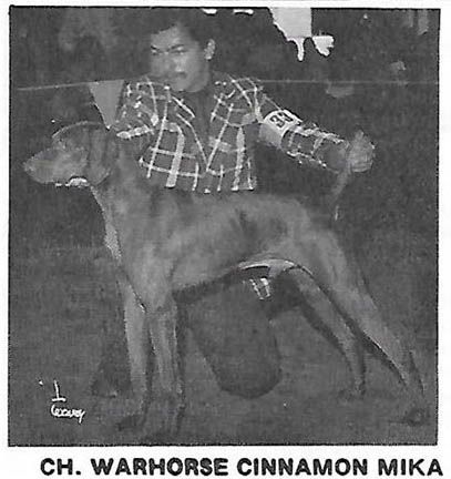 Image of Warhorse Cinnamon Mika