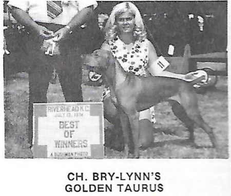 Image of Bry-Lynn's Golden Taurus