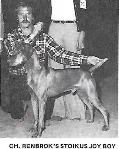 Image of Renbrok's Stoikus Joy Boy