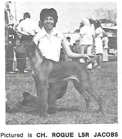 Image of Rogue Lsr Jacobs