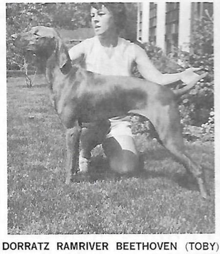 Image of Dorratz Ramriver Beethoven