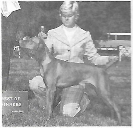 Image of Mistral Dawn Barat