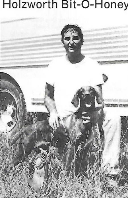 Image of Holzworth Bit O Honey