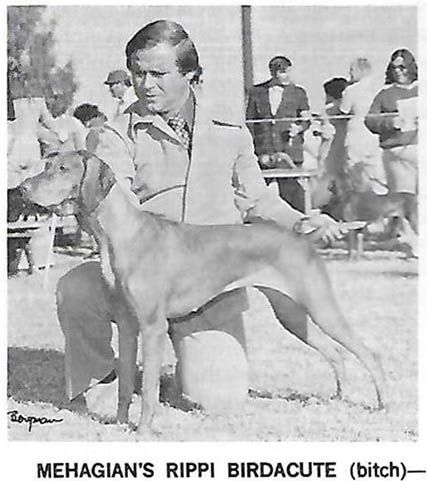 Image of Mehagian's Rippi Birdacute