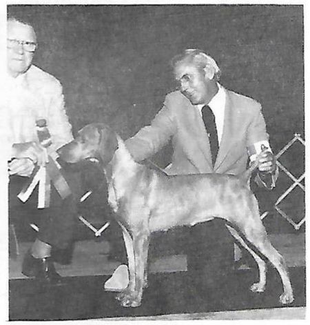 Image of Bihari Flotas Csikcsicsoi