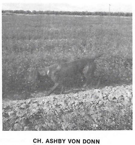 Image of Ashby von Donn