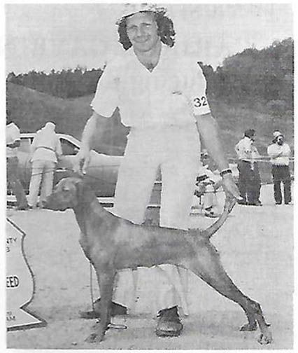 Image of Cin Cili's Yeona